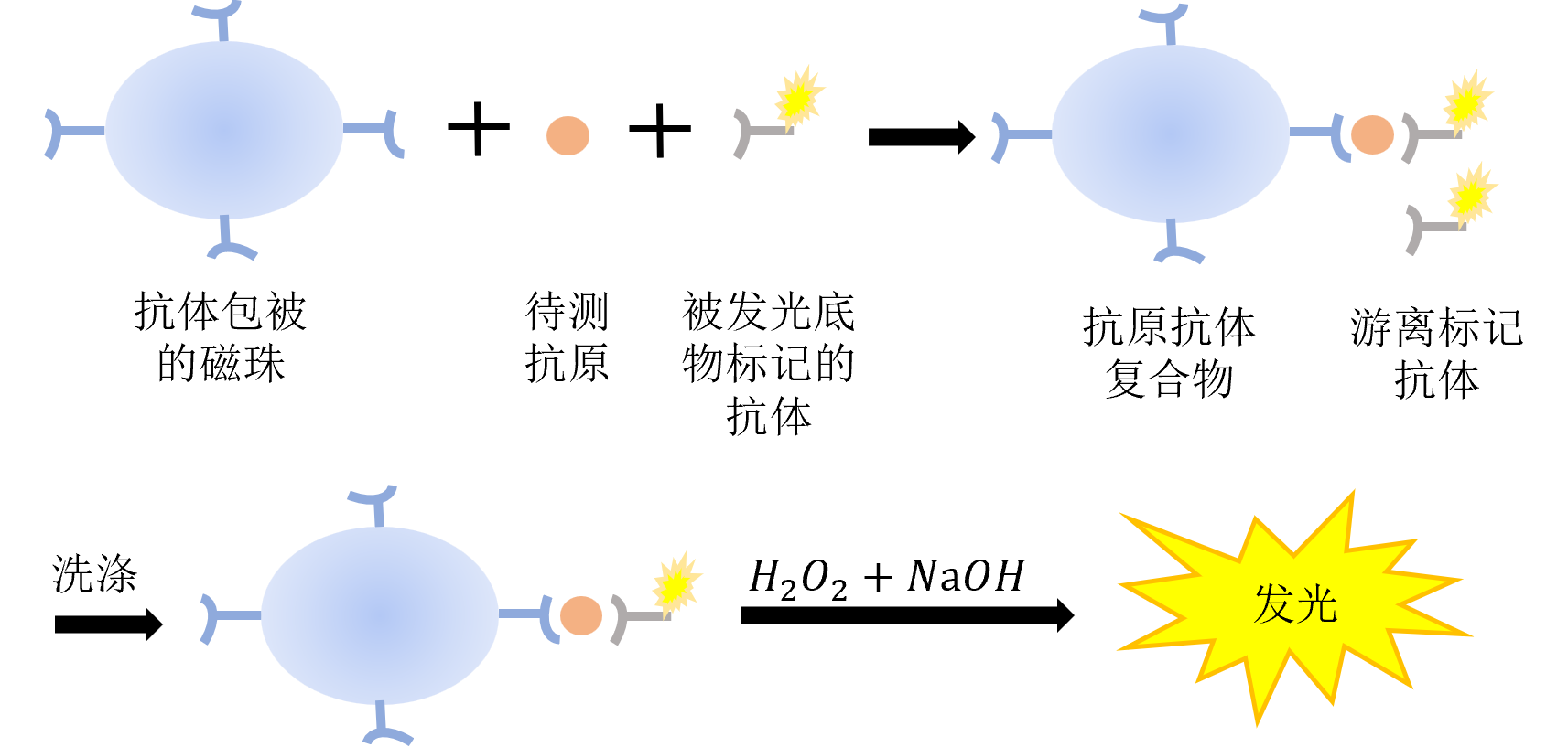 化學(xué)發(fā)光免疫之直接化學(xué)發(fā)光 化學(xué)發(fā)光免疫之直接化學(xué)發(fā)光